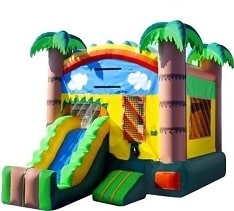 Mini Tropical Slide Rentals